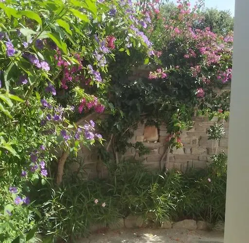 Guest house Evilou's House